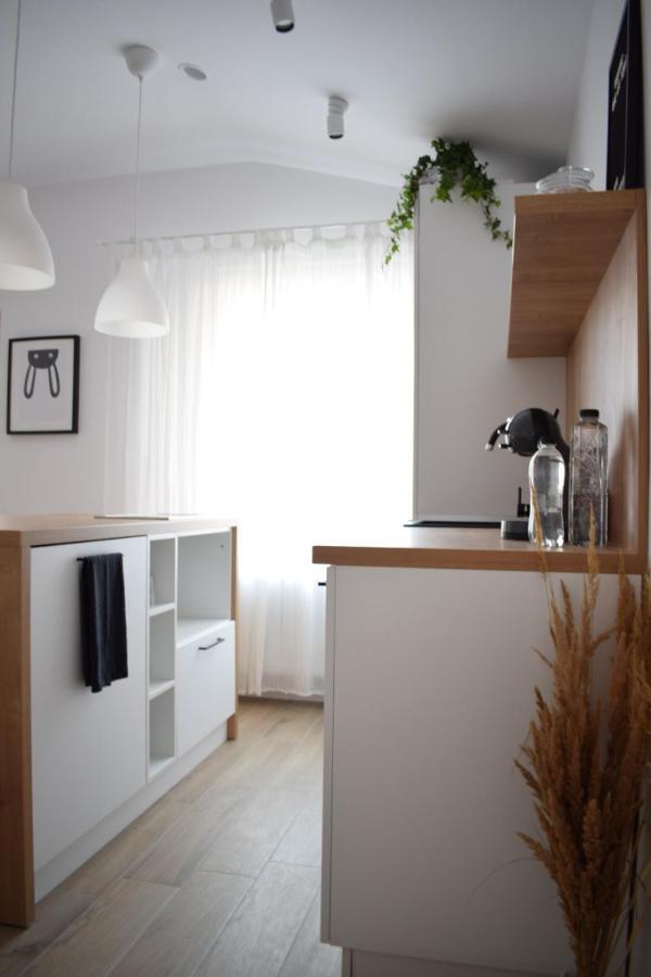 Voya Nordic Apartment-A Luxury Oasis In The Old Town Braşov Exterior foto